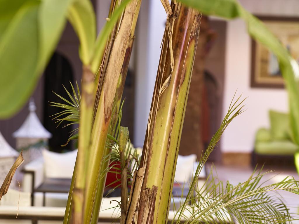 Riad Les Jardins D'Henia Marakéš Exteriér fotografie